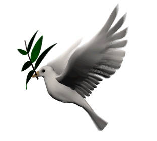 dove with olive branch